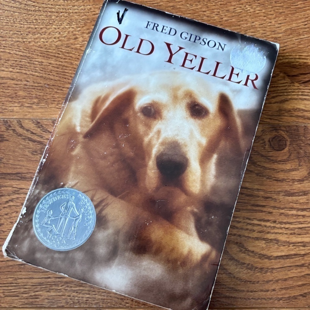 Old Yeller by: Fred Gipson paperback book